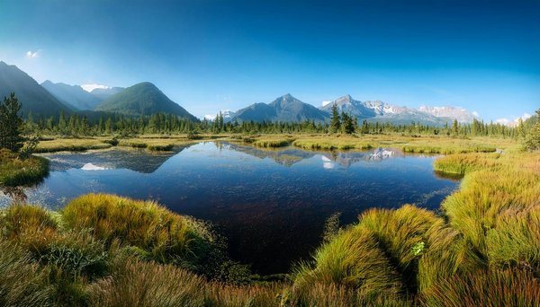 Les alternatives écoresponsables en matière de location en campagne